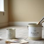 premium quality costly paint