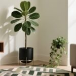 selecting plants for harmony